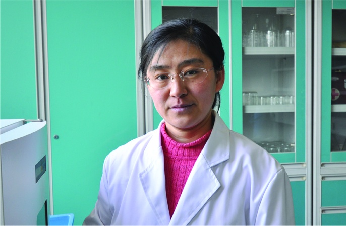 Feng Limei