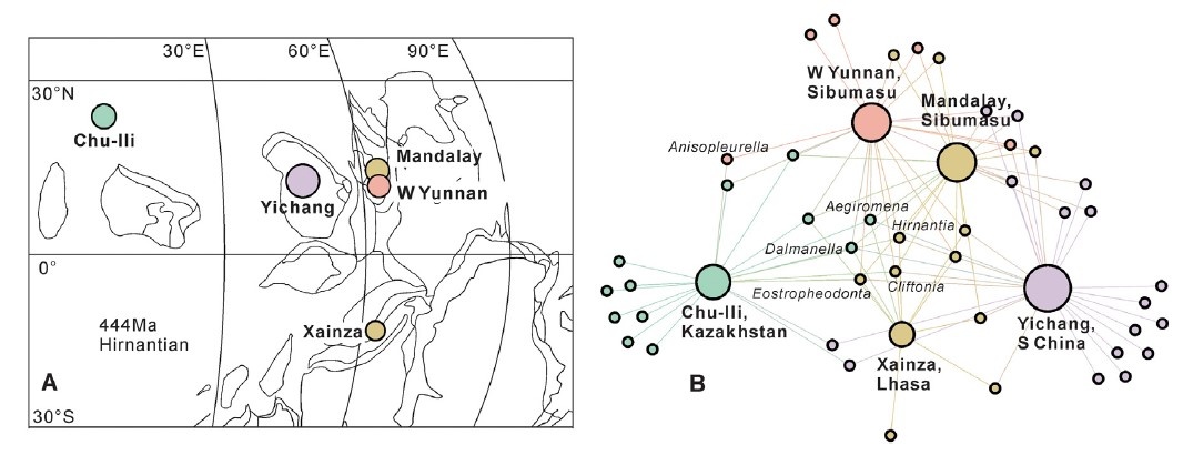 A series of studies on the late Ordovician Hirnantia brachiopod Fauna
