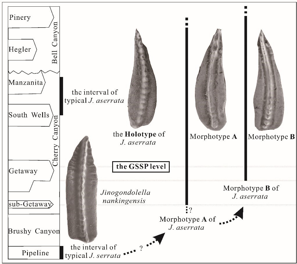 Studies on Integrated timescale, GSSP and Paleobiogeography of the Permian conodonts