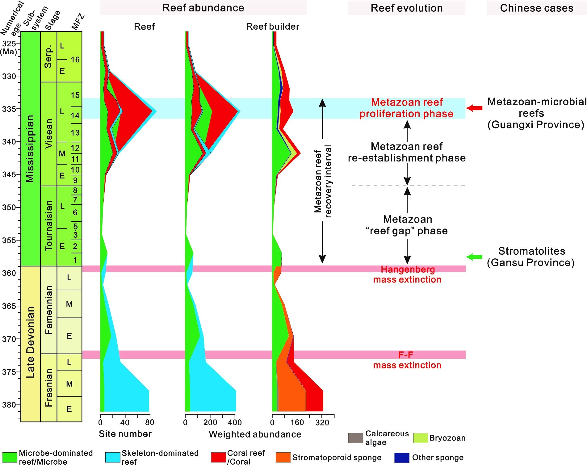 Chinese samples witnessed reef evolutionary process after the Late Devonian mass extinctions
