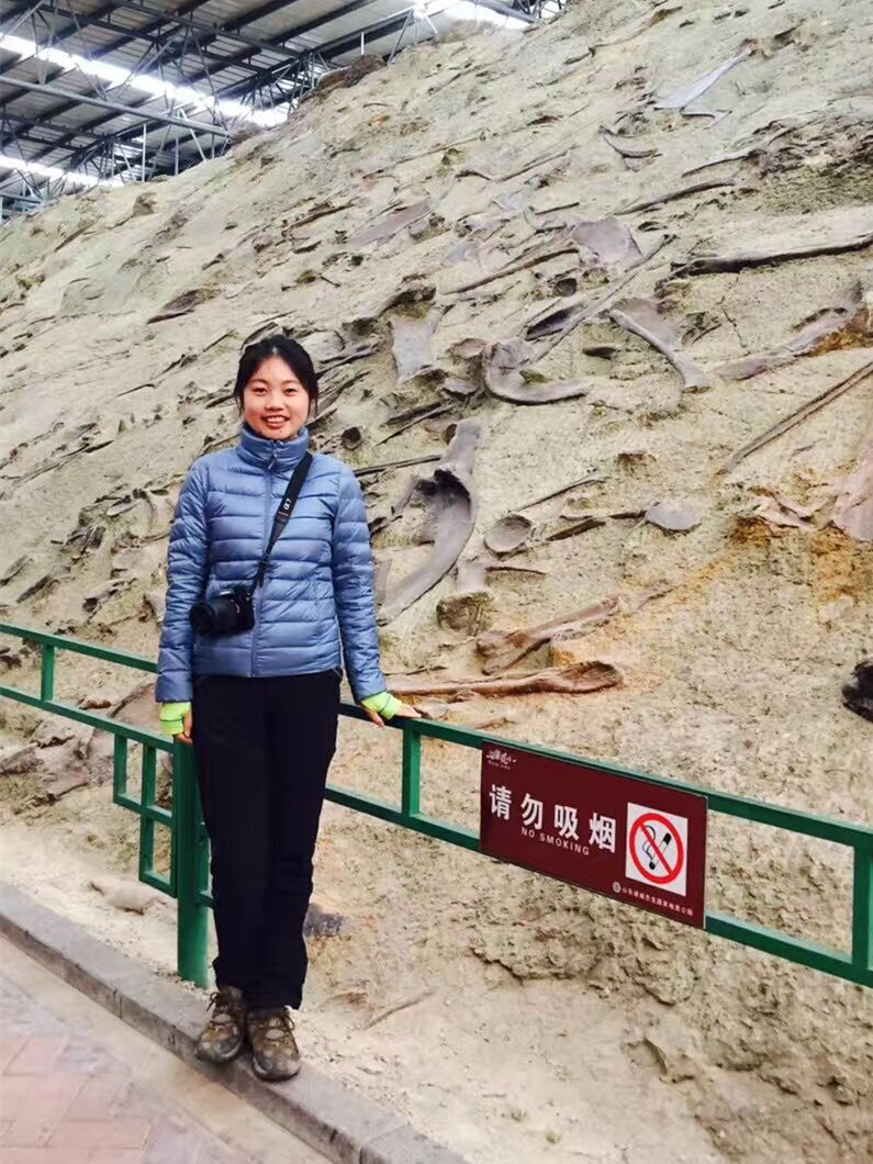袁训来
